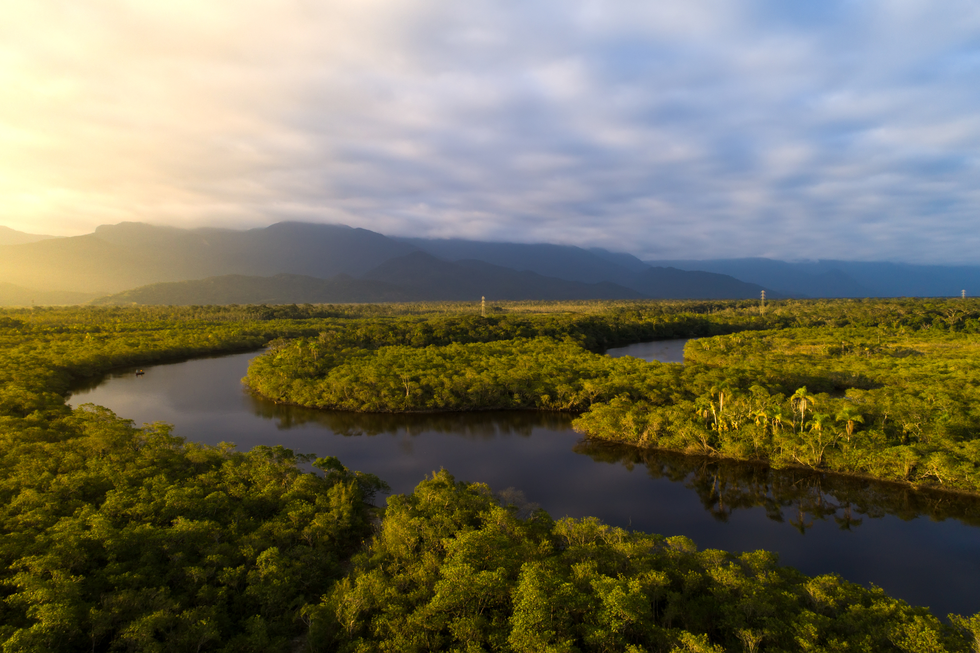 Políticas Públicas Para Proteção da Floresta Amazônica: O Que Funciona e Como Melhorar