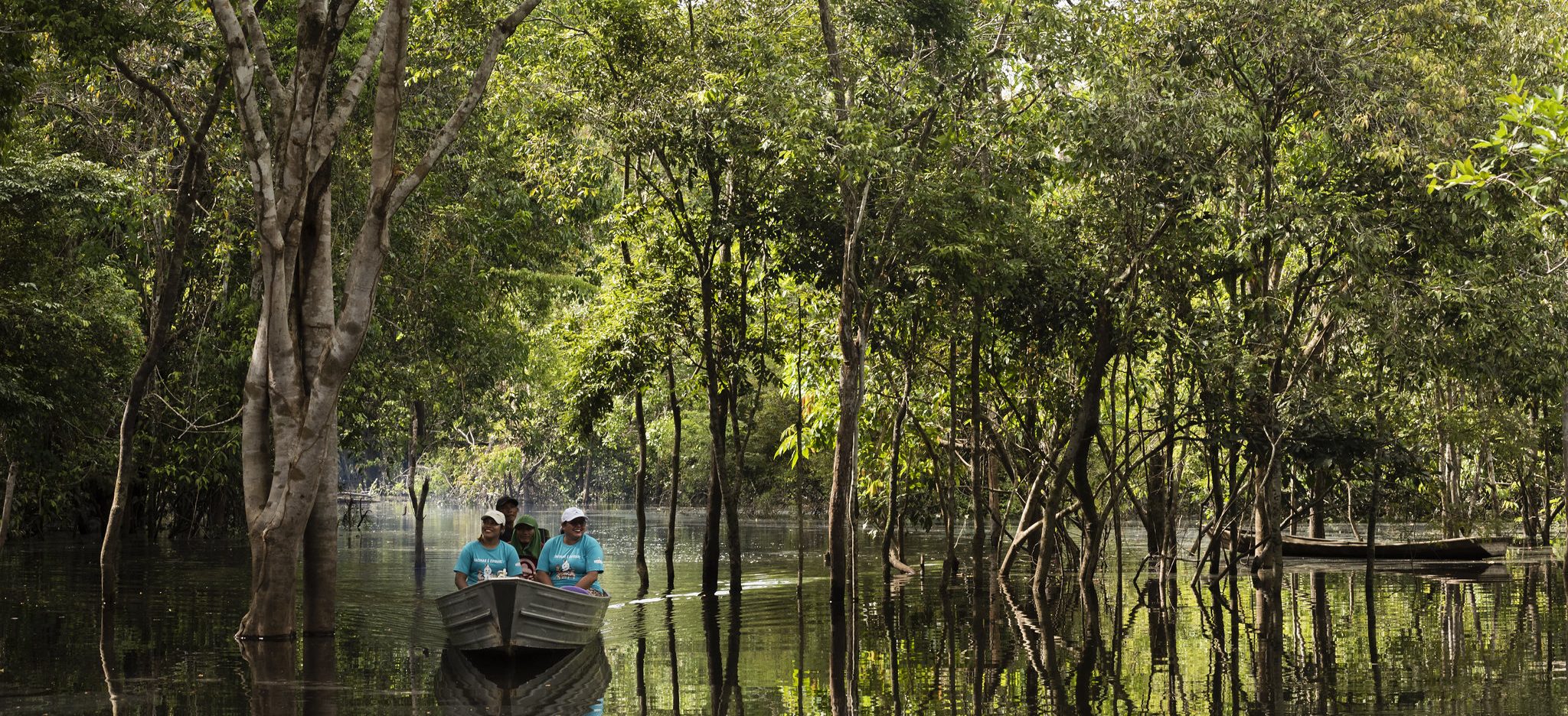 A Saúde na Amazônia Legal: Evolução Recente e Desafios em Perspectiva Comparada