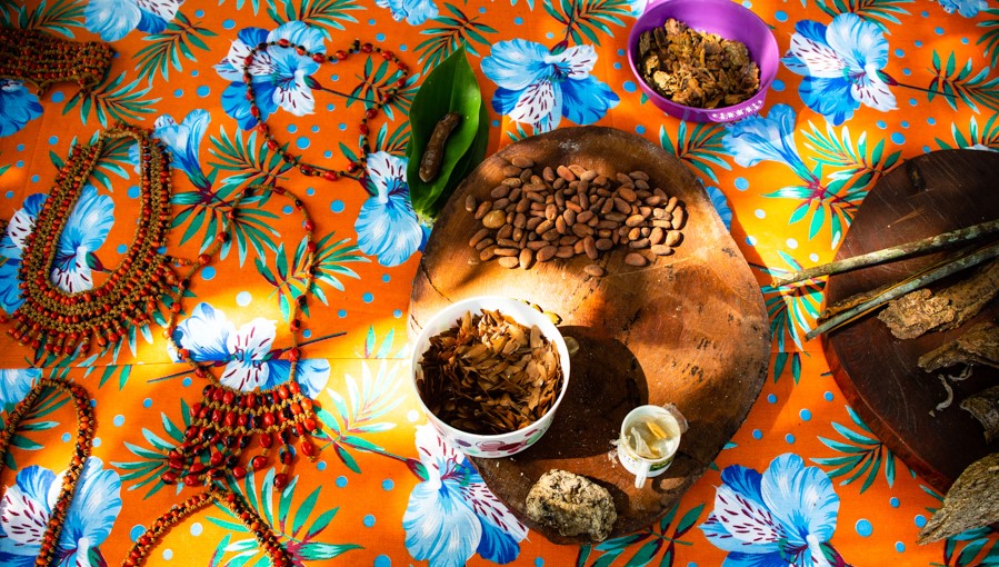 Amazônia: Territórios da Comida
