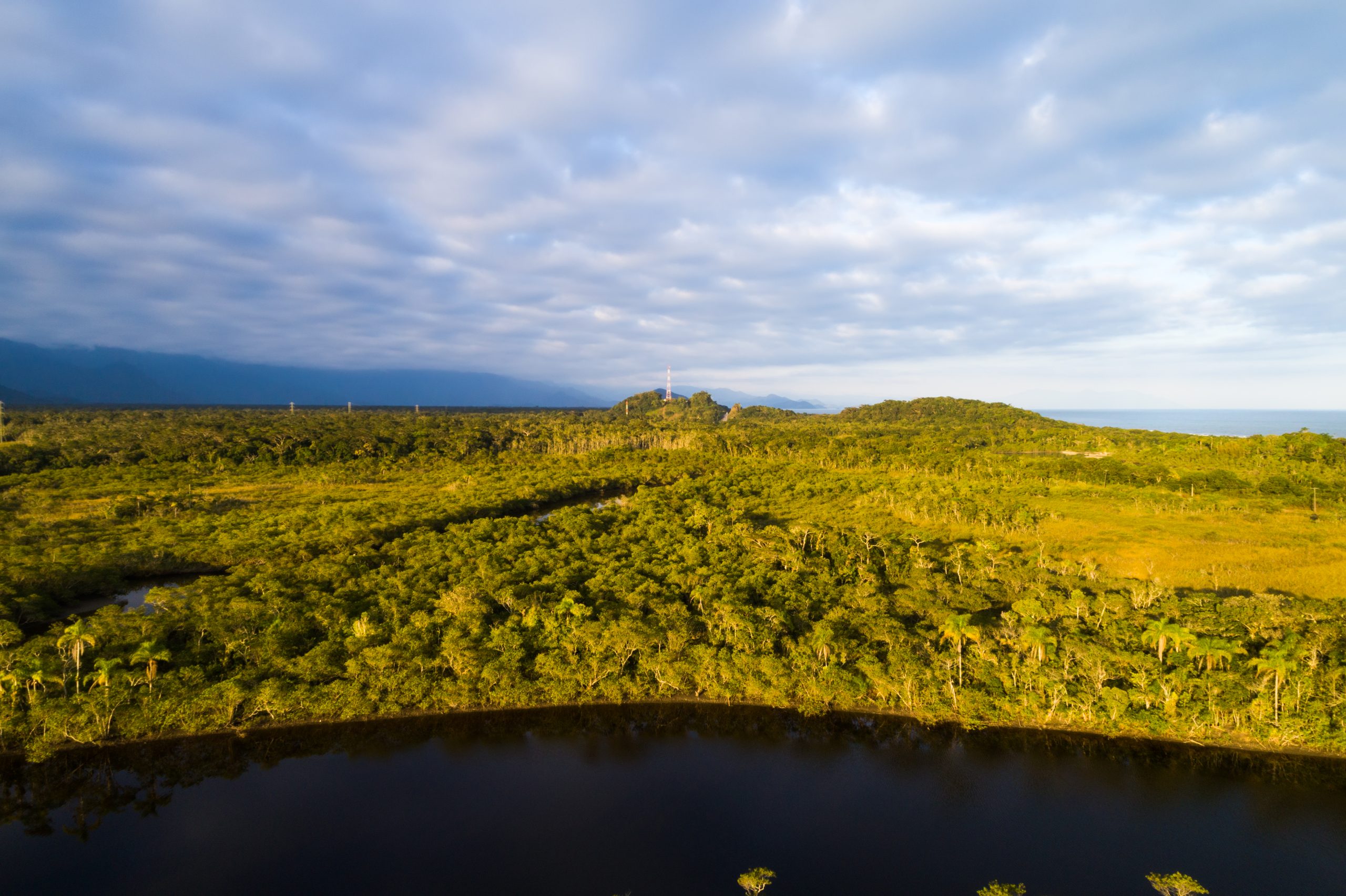 Oportunidades Para Restauração Florestal em Larga Escala no Bioma Amazônia: Priorizando a Vegetação Secundária