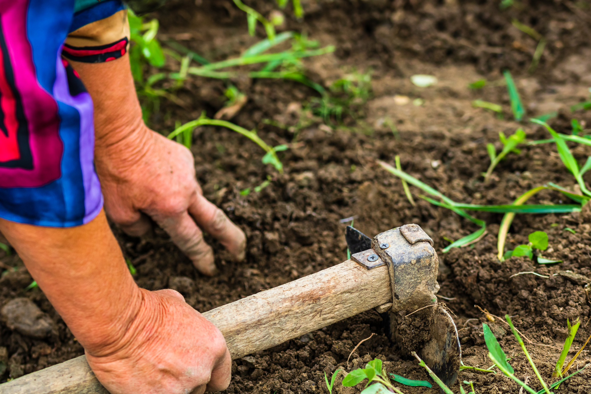 Assentamentos Rurais da Amazônia: Diretrizes Para a sustentabilidade