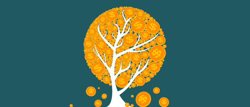 The Amazon Paradox