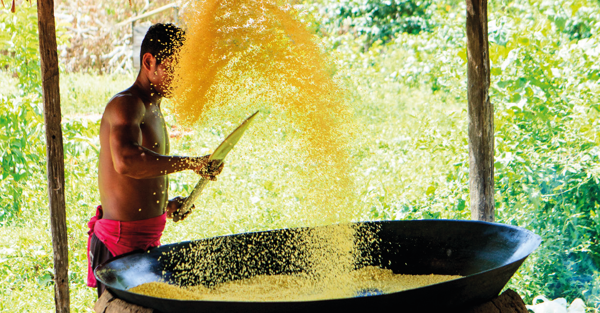 Índice de Progresso Social na Amazônia Brasileira: IPS Amazônia 2023