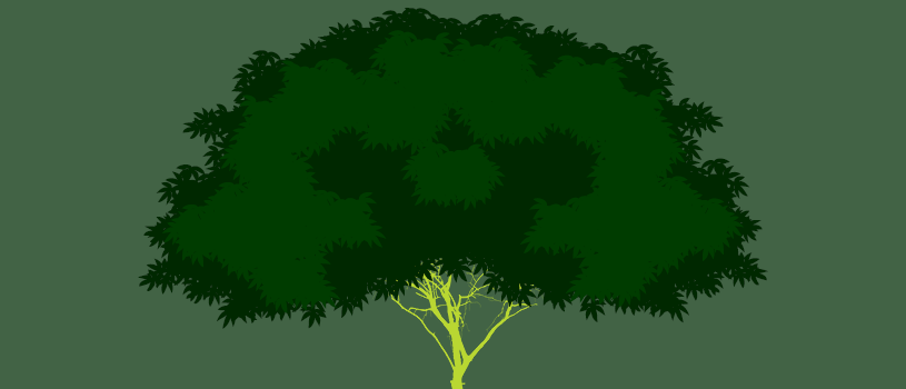 Carbon And The Fate of The Amazon
