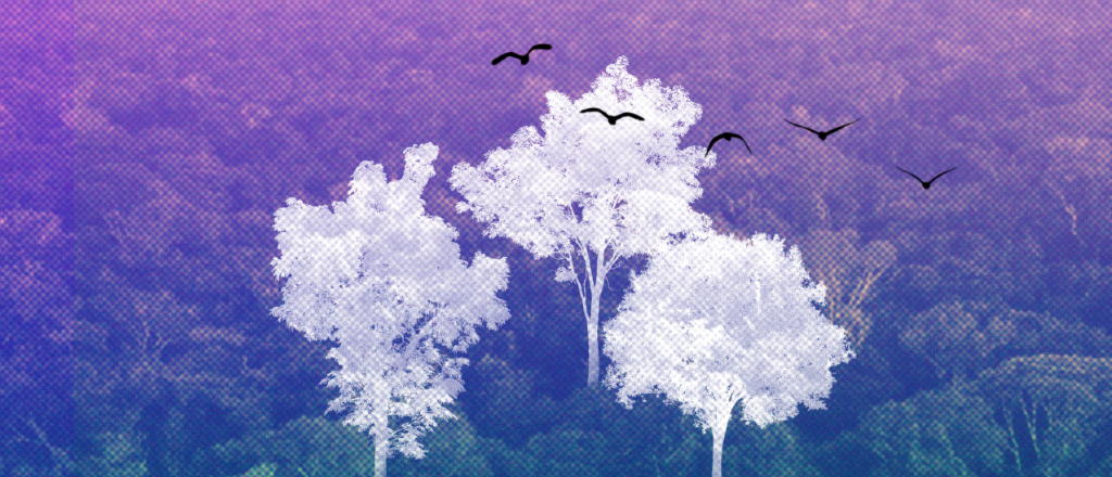 The Tropical Forests Mechanism