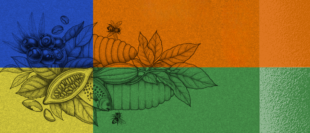 The Bioeconomy in The Lula Administration: Regulatory And Institutional Advances