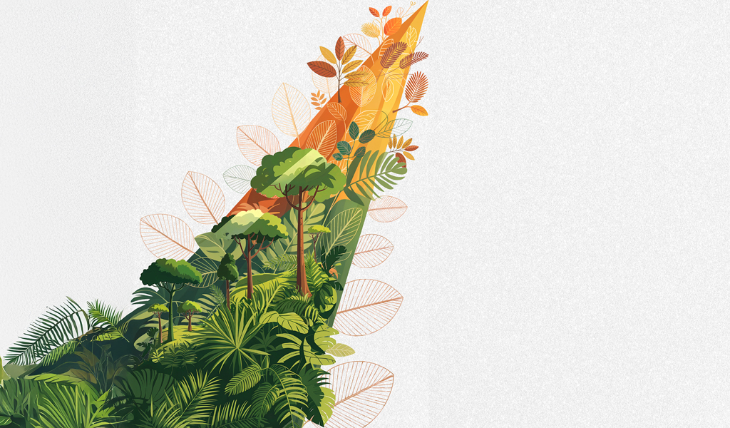 The Forest-Climate Nexus for the Brazilian Amazon