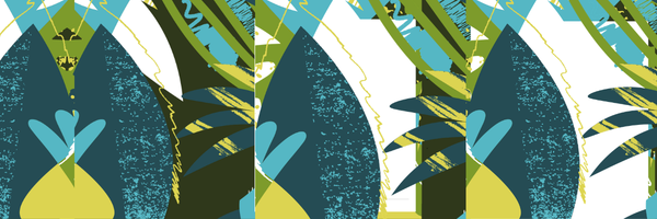 The Leading Role of Brazilian Forests in the Global Climate Agenda
